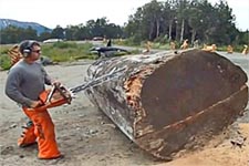 Резьба по дереву бинзопилой 01