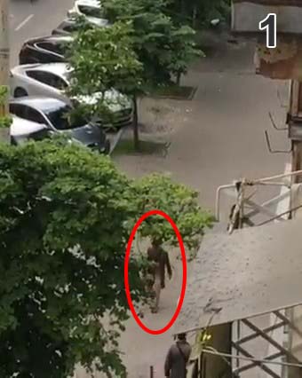 нападение ворон на человека