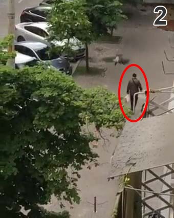 нападение ворон на человека