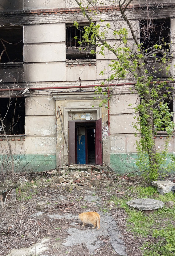 Дом Ирины Суровой в Северодонецке