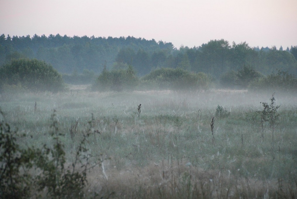 Вид3