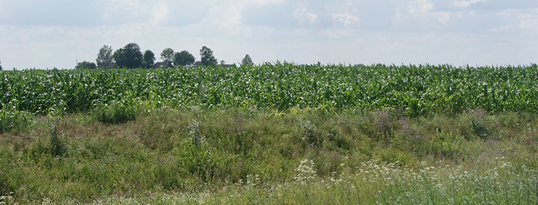 Гродненская точка