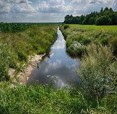 Гродненская точка канава