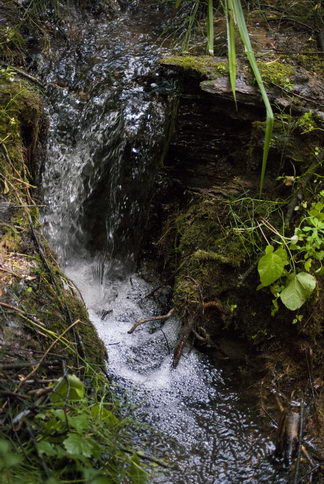 Black_River_The_Cascade
