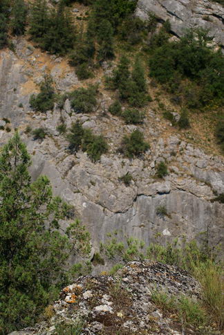 nearblackriver