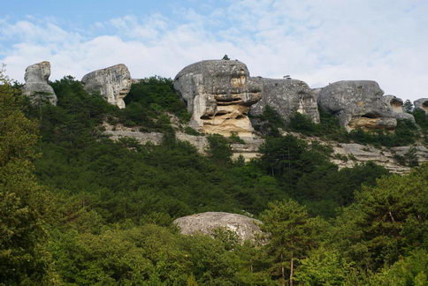 Сфинксы