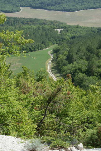 ternovkaroad